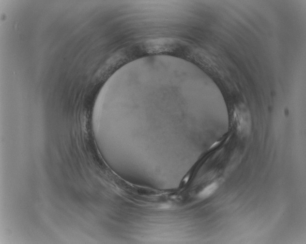 X0000073890219200609082131