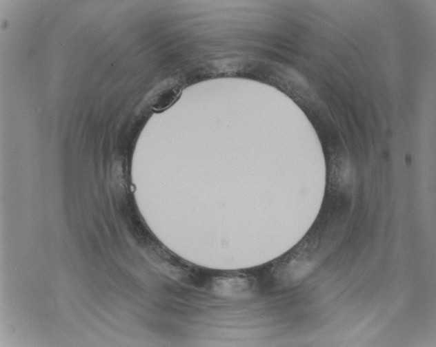 X0000073890220200609082131