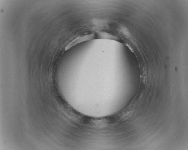 X0000073890221200609082131