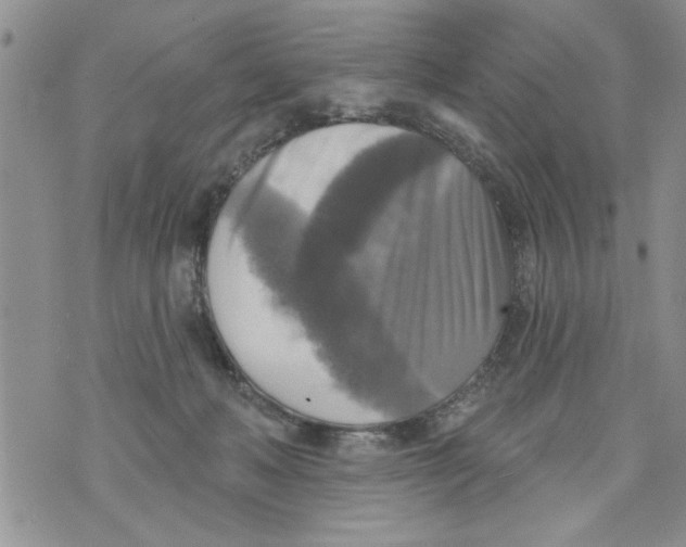 X0000073890222200609082131