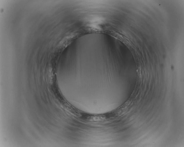 X0000073890223200609082131