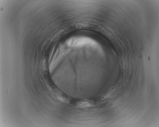 X0000073890224200609082131