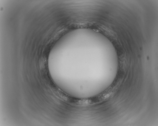 X0000073890225200609082131