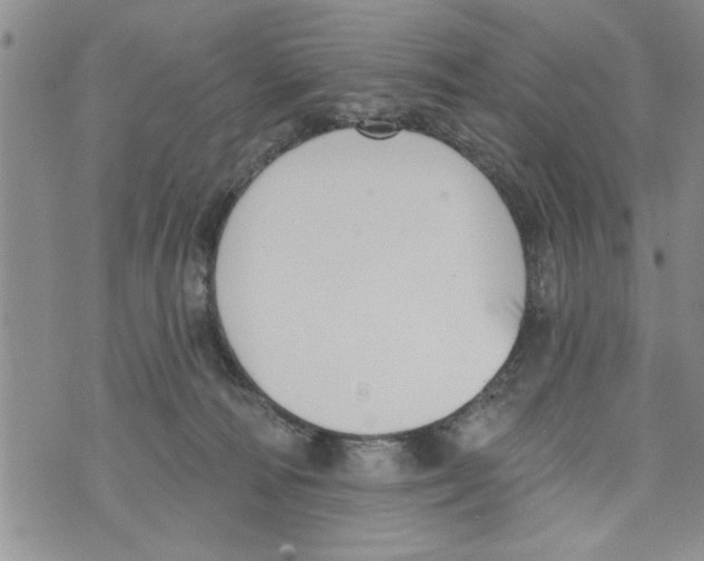 X0000073890226200609082131