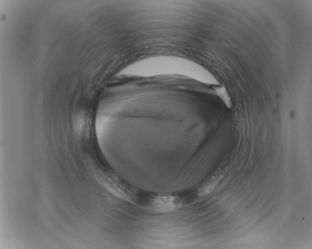 X0000073890227200609082131