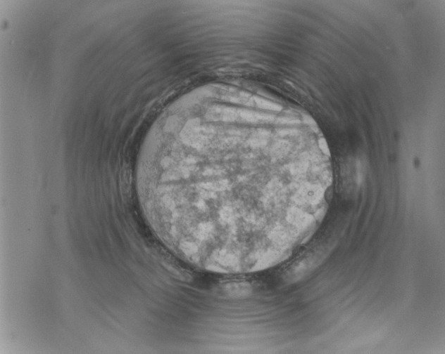 X0000073890228200609082131