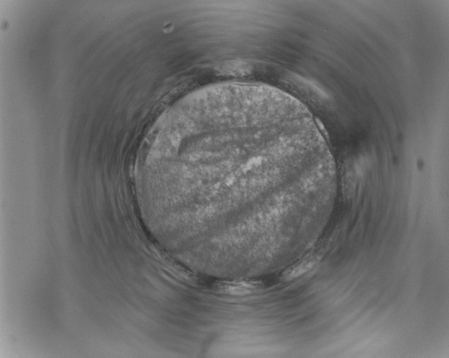 X0000073890229200609082131