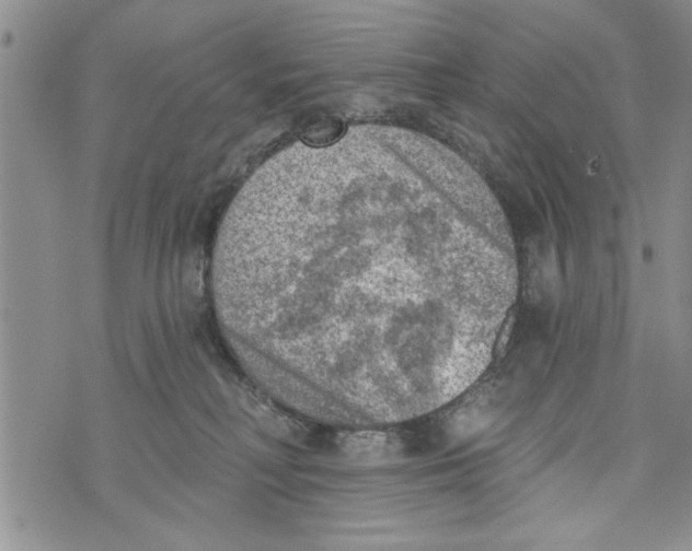 X0000073890230200609082131