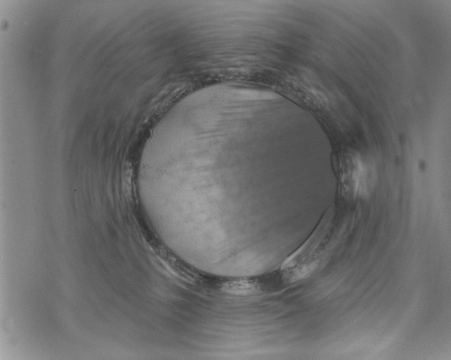 X0000073890231200609082131