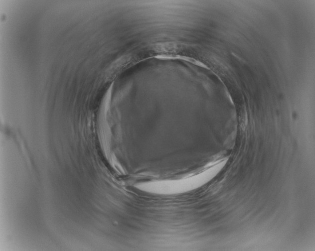 X0000073890233200609082131