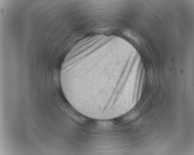 X0000073890234200609082131