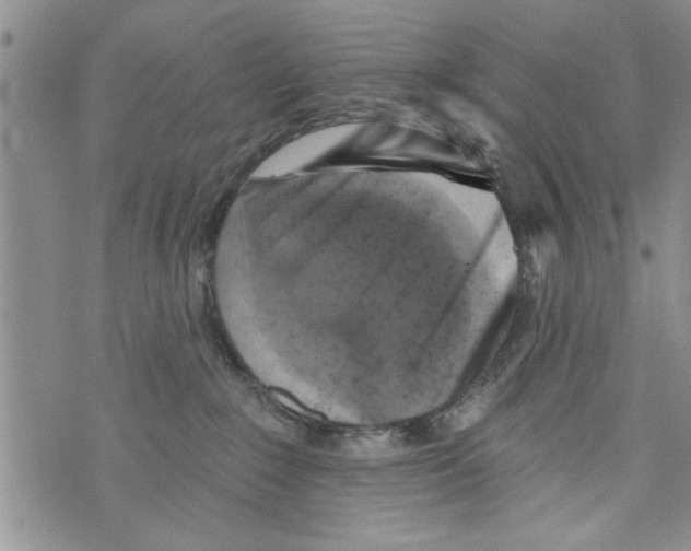 X0000073890235200609082131