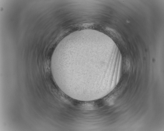 X0000073890236200609082131