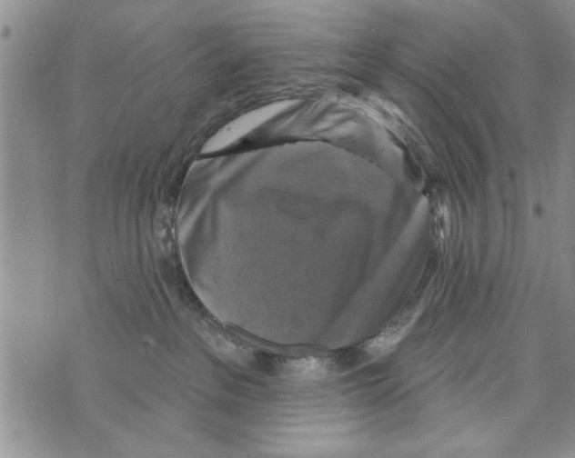 X0000073890237200609082131