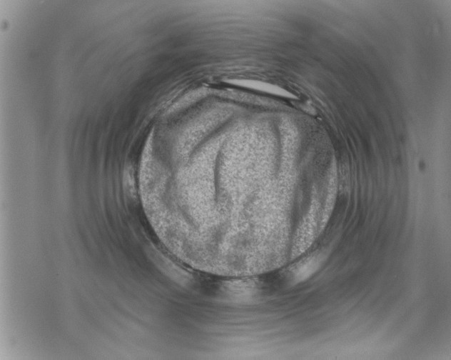 X0000073890238200609082131