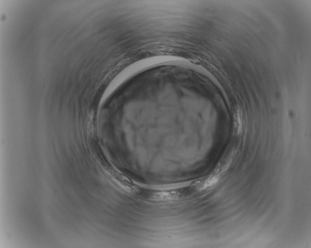 X0000073890239200609082130