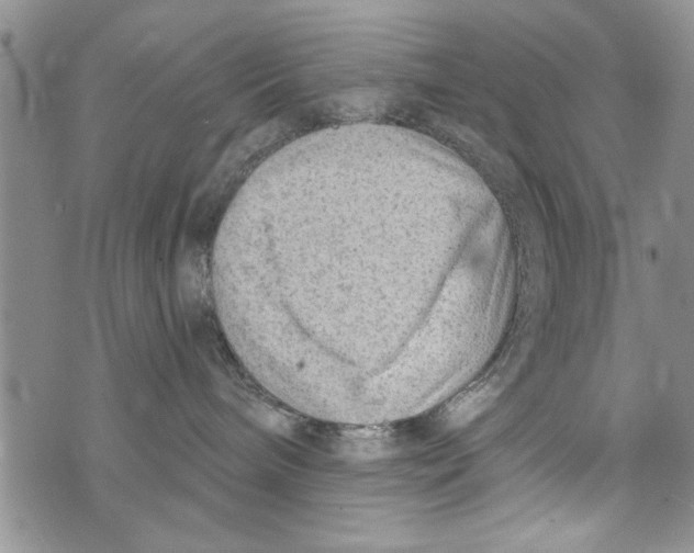 X0000073890240200609082130