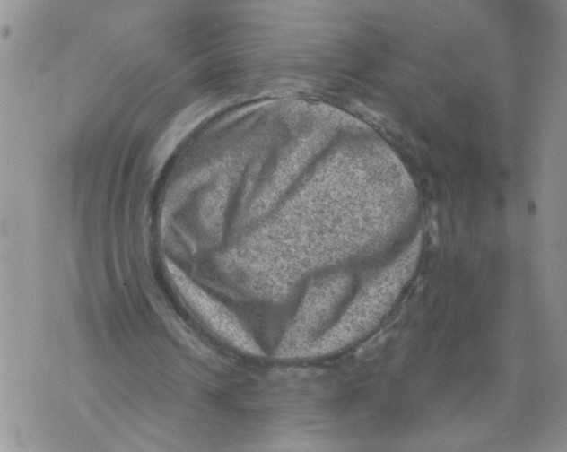 X0000073890242200609082130