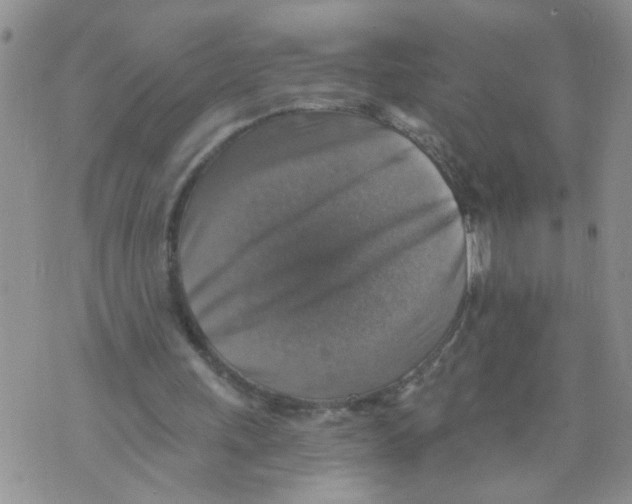 X0000073890243200609082130