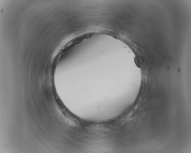 X0000073890244200609082130