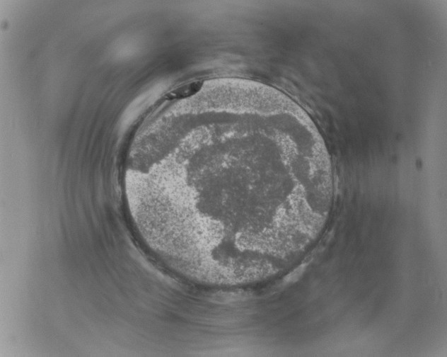 X0000073890245200609082130