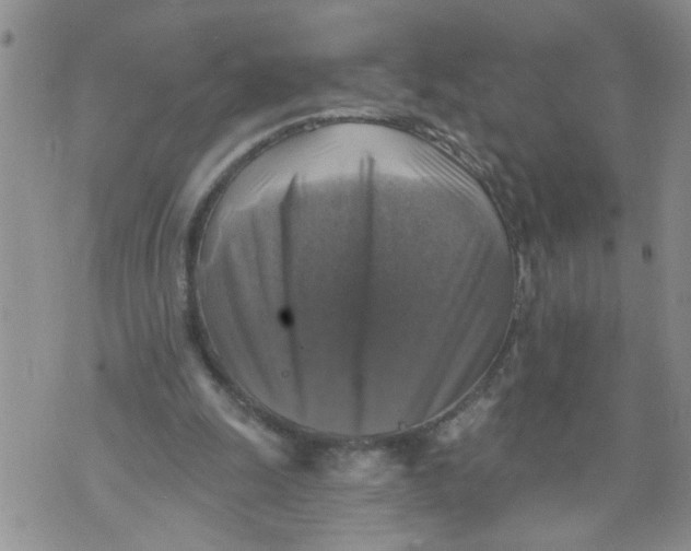 X0000073890247200609082130