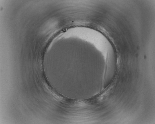 X0000073890249200609082130