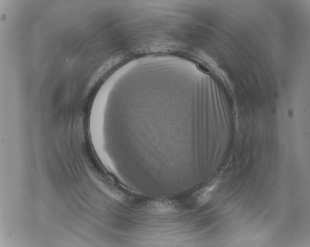 X0000073890250200609082130