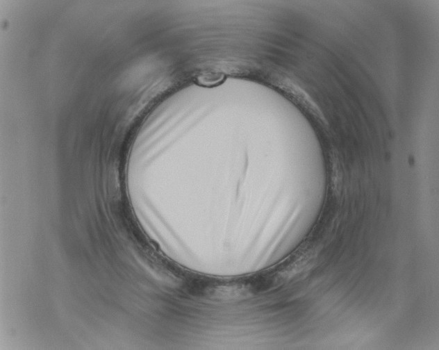 X0000073890251200609082130