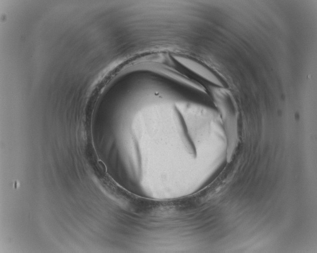 X0000073890252200609082130