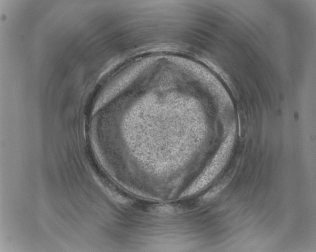 X0000073890253200609082130