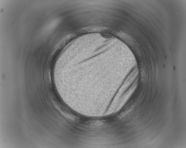 X0000073890254200609082130