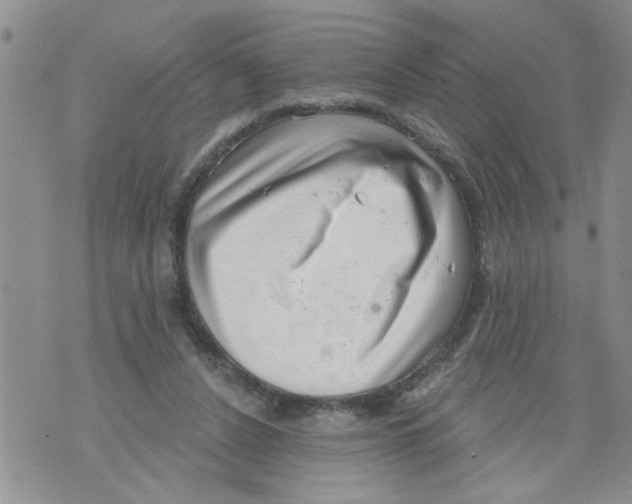 X0000073890256200609082130