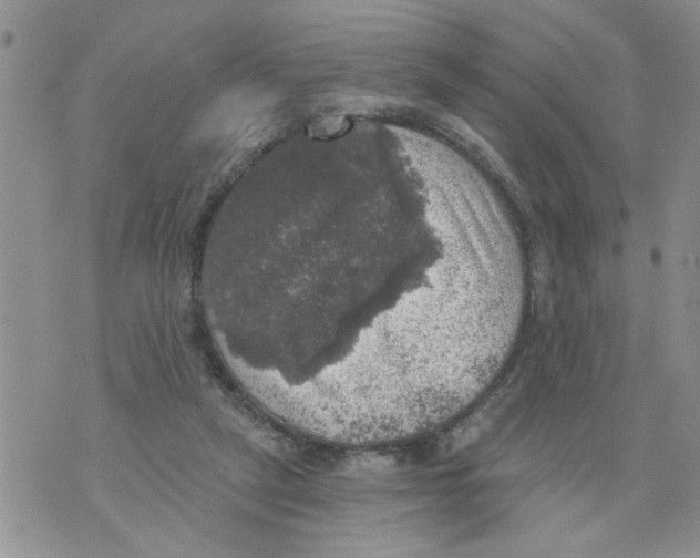 X0000073890257200609082130