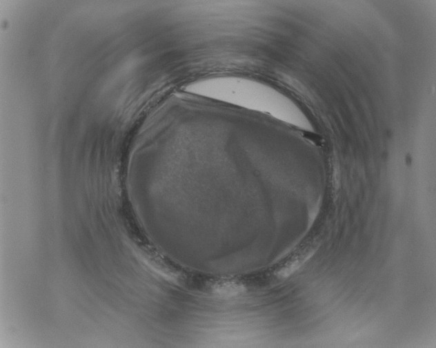 X0000073890258200609082130