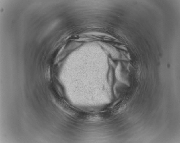 X0000073890262200609082130