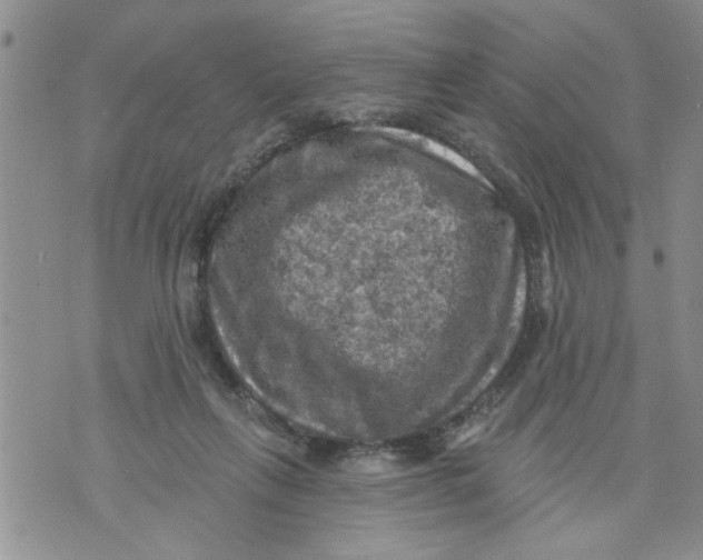 X0000073890263200609082130