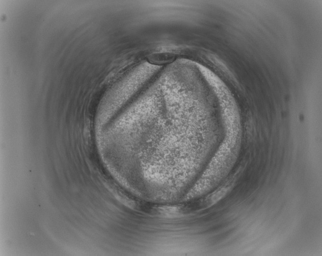 X0000073890265200609082130