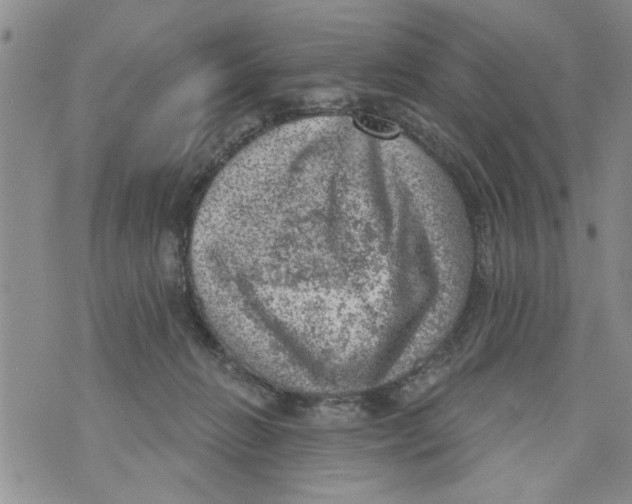 X0000073890270200609082130