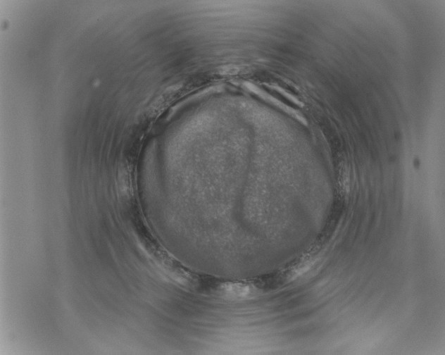 X0000073890272200609082130