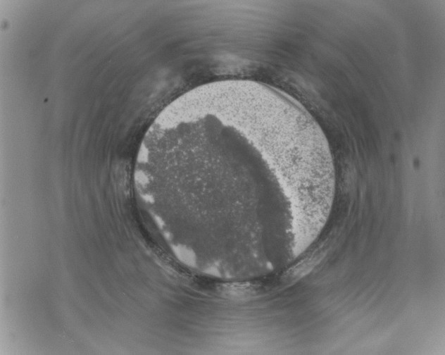 X0000073890273200609082130