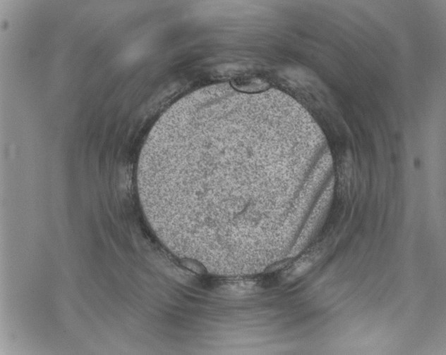 X0000073890278200609082130