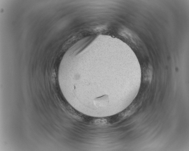 X0000073890279200609082130