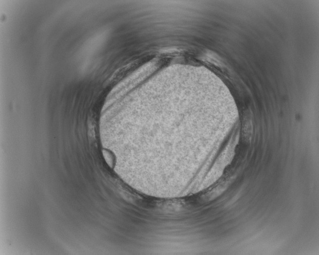 X0000073890282200609082130