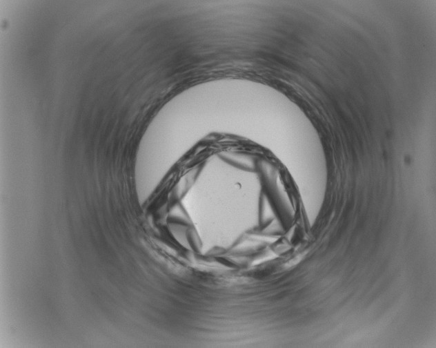 X0000073890284200609082130