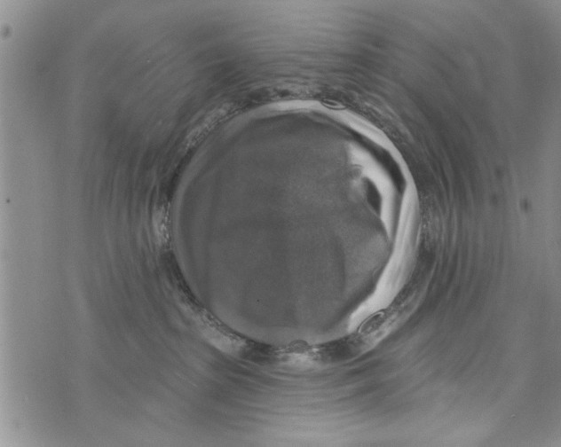 X0000073890285200609082130