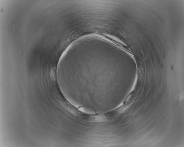 X0000073890286200609082130