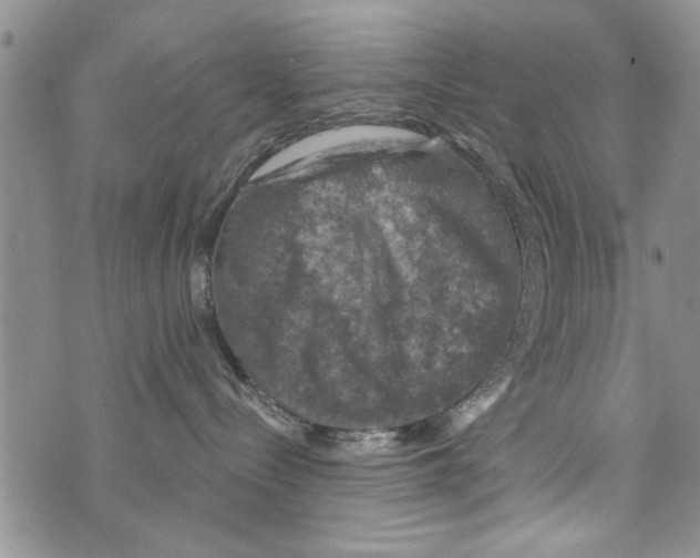 X0000073890288200609082130