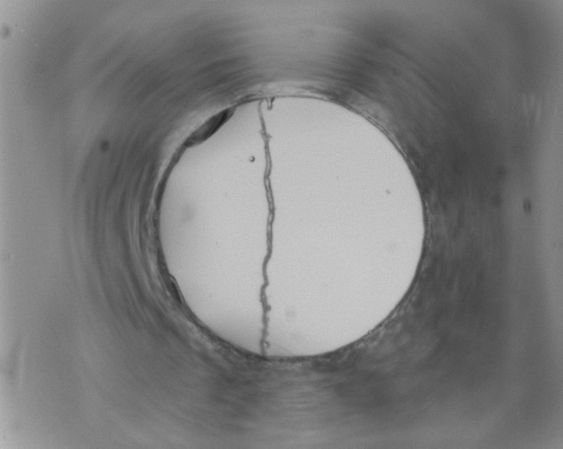 X0000073890289200609082130