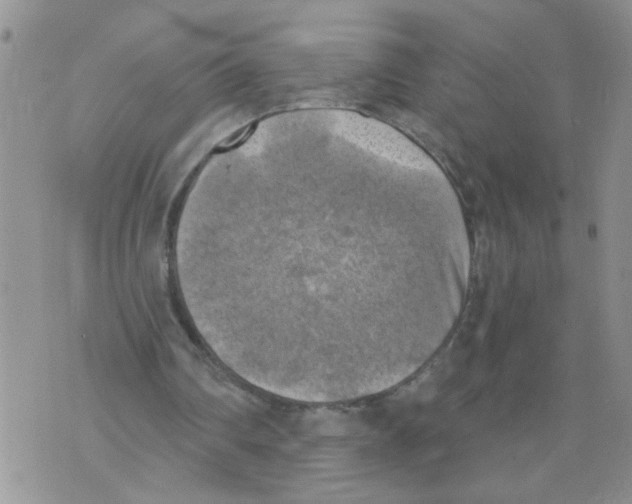 X0000073890290200609082130